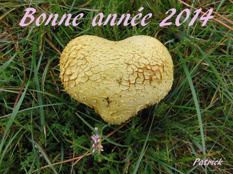 Bonne année.jpg