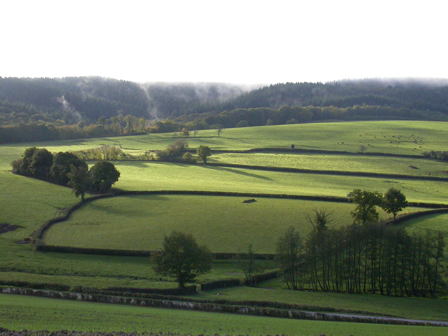 campagne,-Autun.jpg