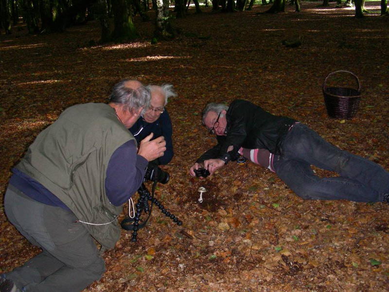 Mycologues au bouleau Beuvray.jpg