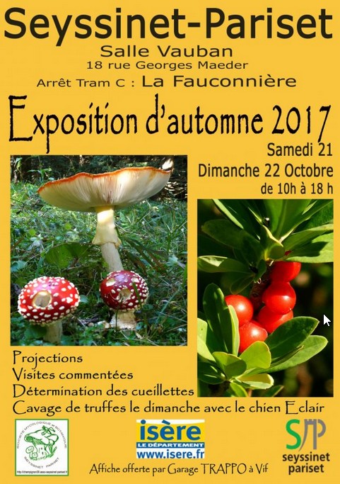 Exposition mycologique.jpg