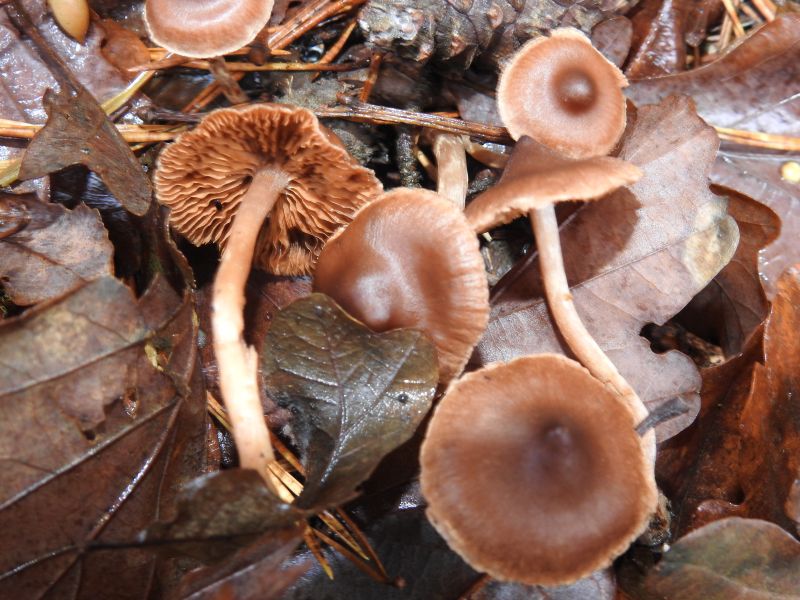 DSCN1092.jpg