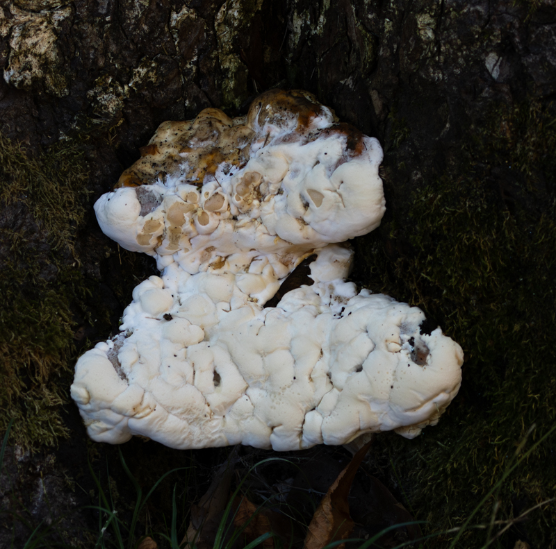 A78A7804.jpg