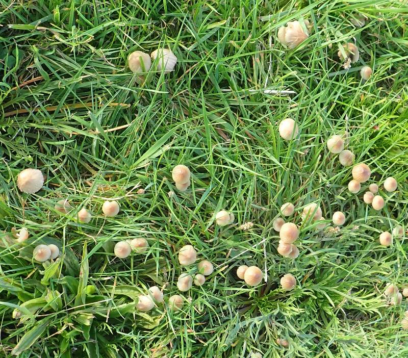 PB020186 (1)-redim800.JPG