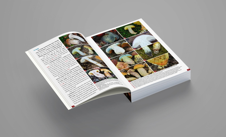 Pages d'introduction.jpg
