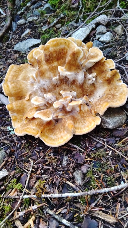 IMG-20260807-WA0003.jpeg