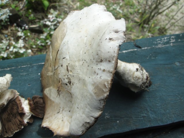 DSC01688.JPG