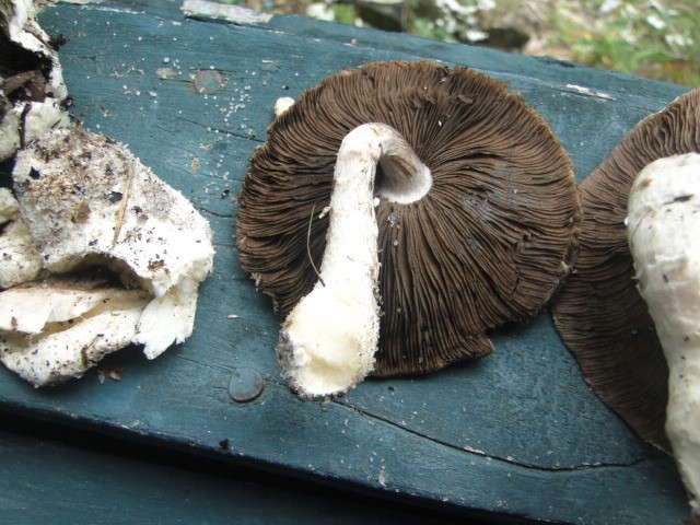 DSC01691.JPG