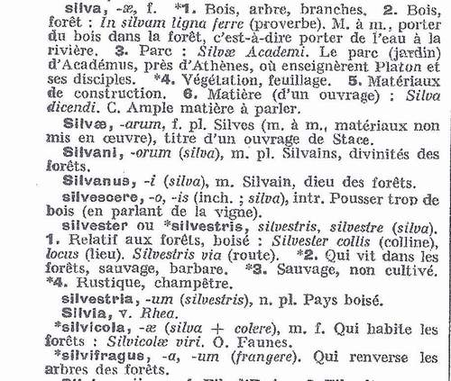 silvicola et autres dérivés de silva.JPG