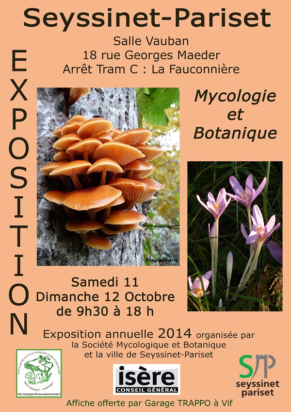 Affiche Seyssinet-Pariset 2014.jpg