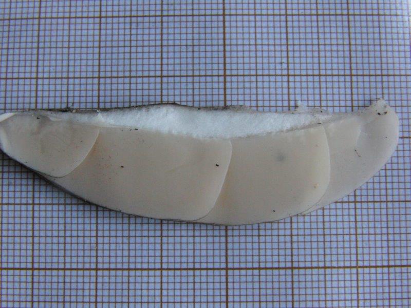 2014-10-15 012.jpg