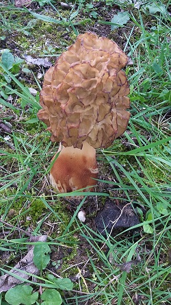 20190407_143941.jpg
