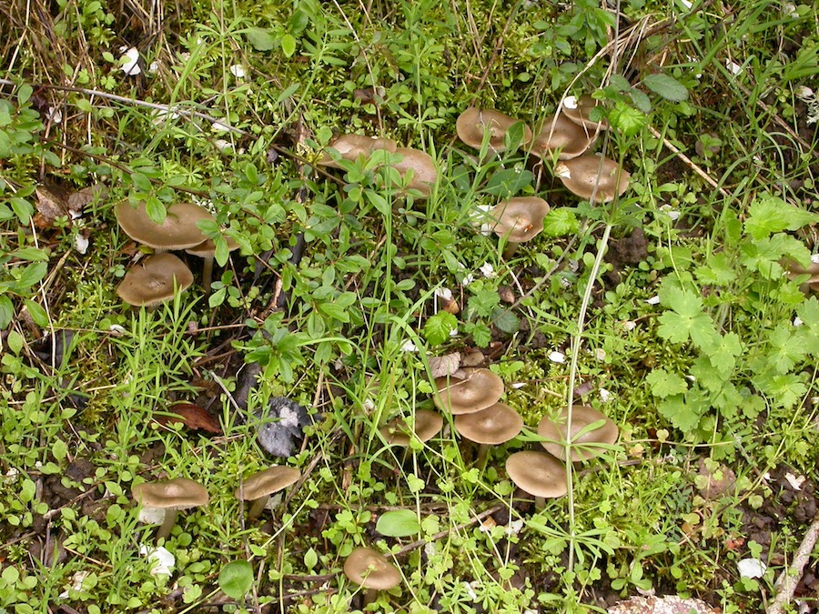 DSCN9804.jpg