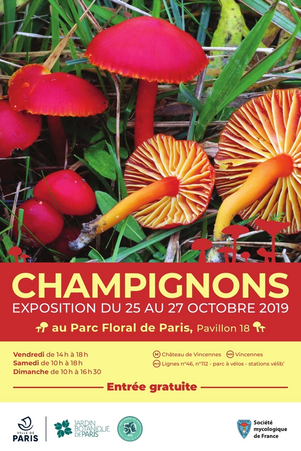 Affiche 2019 expo.jpg